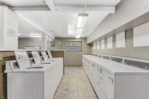 laundry room, machines lining both sides of room